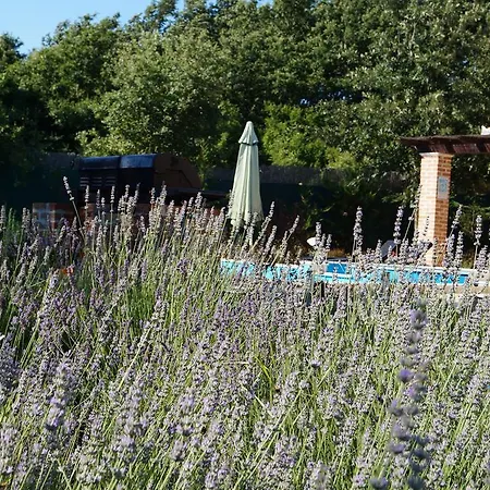 Villas Vea Histria * Rezanci